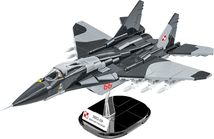 MiG-29 Ukraine/Poland #5840