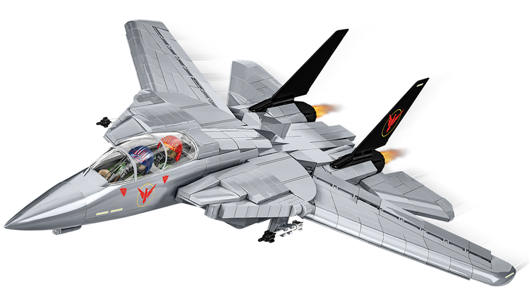 Grumman F-14 Tomcat Top Gun Enemy 1:48 #5920